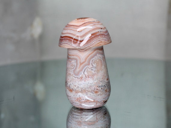 Crazy Lace Agate Mushroom with Druzy, Rare 5.9 oz AAA++ Quality Natural Pink Agate Carved Crystal Mushroom from Indonesia