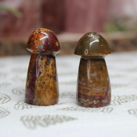 A+ Ocean Jasper Mushroom Pair, 1.6 oz Carved Orbicular Jasper Crystal Mushrooms from Indonesia