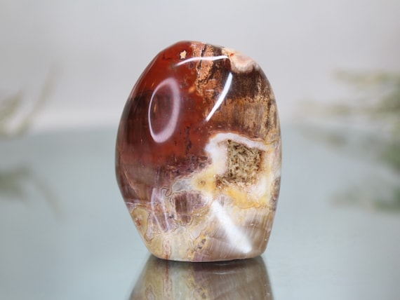 Petrified Wood Polished Freeform with Druzy and Calcite Geode, AAA+ Quality, 4.4 oz Polished Crystalized Wood Stone with Flat Base