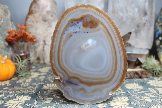 AA+ Grey and Tan Banded Agate Geode Slice with Spots , 7.0 oz from Brazil