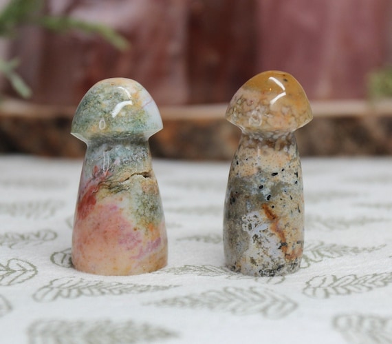 AAA++ Ocean Jasper Mushroom Pair with Druzy, 1.5 oz Carved Orbicular Jasper Crystal Mushrooms from Indonesia