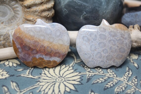 Grey & Tan Coral Fossil Agate Carved Pumpkin, 28-35g Polished Agatized Coral Crystal Carving from Indonesia