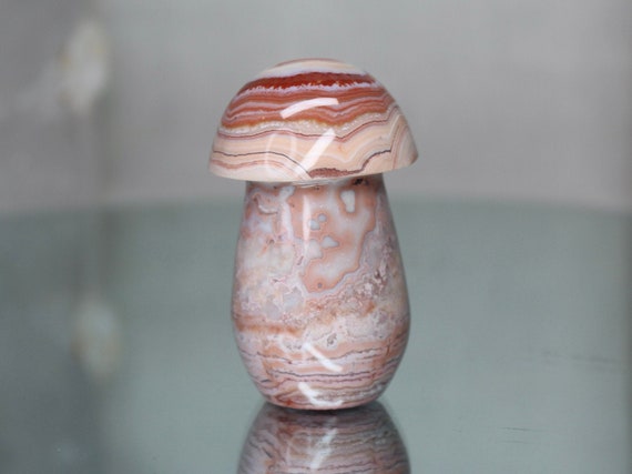 Crazy Lace Agate Mushroom with Druzy, Rare 4.8 oz AAA+ Quality Natural Pink Agate Carved Crystal Mushroom from Indonesia