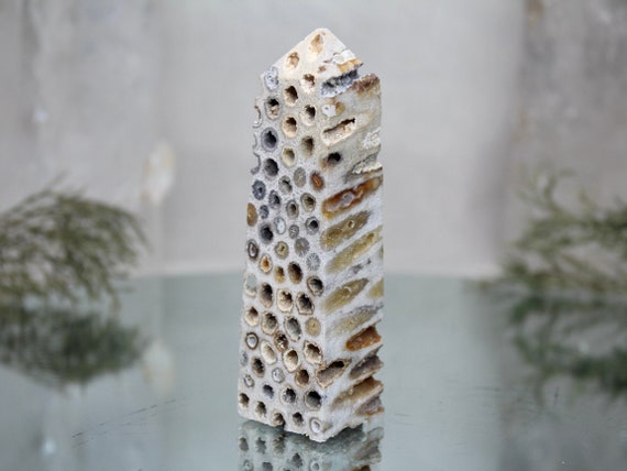 Fossilized Coral Obelisk with Druzy, AAA+ Quality 3.4 oz Semi Polished Agatized Coral Carved Tower from Indonesia