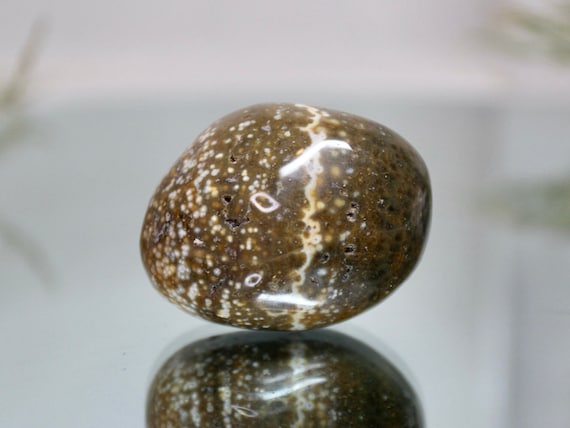 Speckled Ocean Jasper Polished Crystal Freeform, Wishing Stone, 3.0 oz AA+ Quality Jasper Palmstone from Madagascar