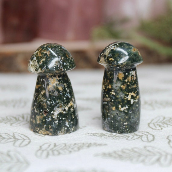 AA+ Ocean Jasper Mushroom Pair with Druzy, 1.6 oz Carved Orbicular Jasper Crystal Mushrooms from Indonesia
