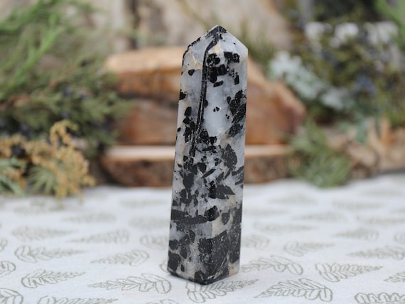Black Tourmaline in Quartz Crystal Tower, Schorl, All Polish Obelisk Point, 3.1 oz from Brazil