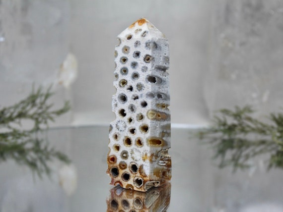 Fossilized Coral Obelisk with Druzy, AAA+ Quality 2.7 oz Semi Polished Agatized Coral Carved Tower from Indonesia