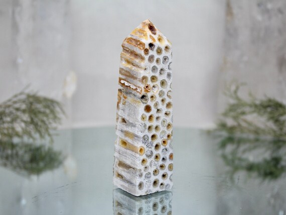 Fossilized Coral Obelisk with Druzy, A+ Quality 3.4 oz Semi Polished Agatized Coral Carved Tower from Indonesia