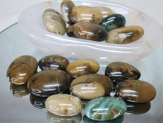 Beige Petrified Wood Palm Stone, One of lot of Polished Opalized Wood from Indonesia, Energy Healing, Reiki Charged, Free Shipping