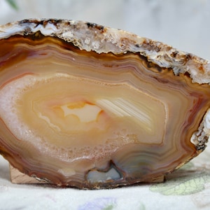 Puede incluir: Una gran rebanada de ágata natural con bandas marrones, blancas y naranjas. El ágata está pulida y tiene una superficie lisa y brillante.