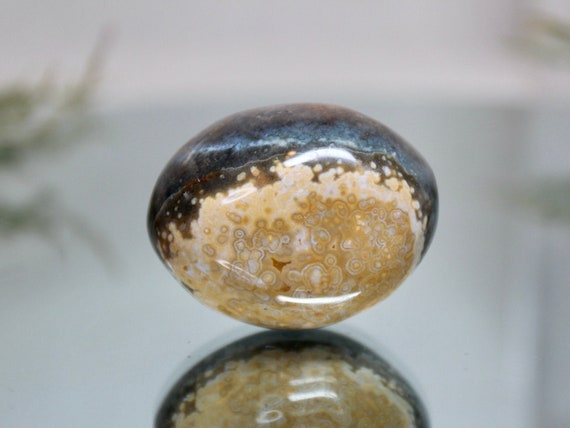Speckled Ocean Jasper Polished Crystal Freeform, 3.5 oz SPECIAL AA+ Quality Jasper Palmstone from Madagascar