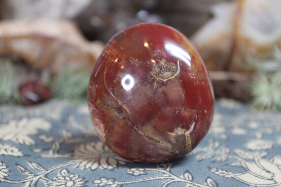 AA+ 0.48 lb Petrified Wood Palmstone, 7.7 oz Polished Crystalized Wood Stone