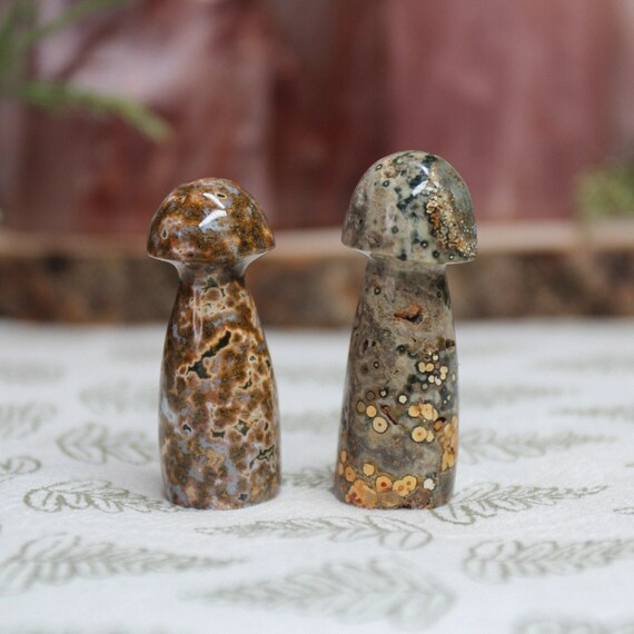 AAA+ Ocean Jasper Mushroom Pair with Druzy, 1.1 oz Carved Orbicular Jasper Crystal Mushrooms from Indonesia