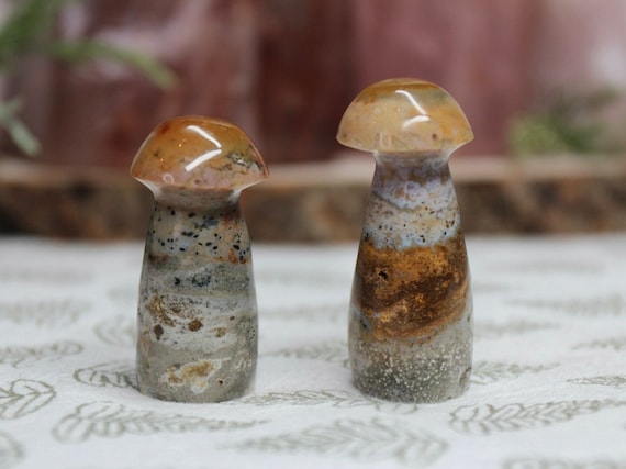 AAA Ocean Jasper Mushroom Pair with Druzy, 1.6 oz Carved Orbicular Jasper Crystal Mushrooms from Indonesia