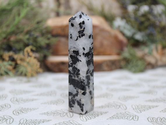 Black Tourmaline in Quartz Crystal Tower, Schorl, All Polish Obelisk Point, 2.6 oz from Brazil