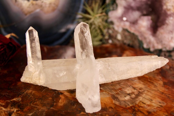 Special Record Keeper Lemurian Seed Quartz Crystal Cluster with Double Turbinated Cross formations and Inclusions, 8.3 oz