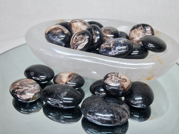 Black Petrified Wood Mini Palm Stone, One of lot of Polished Opalized Wood from Indonesia, Energy Healing, Reiki Charged, Free Shipping