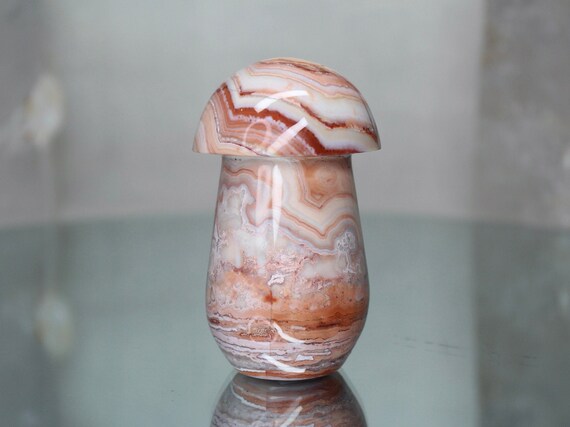 Crazy Lace Agate Mushroom with Druzy, Rare 7.4 oz AA++ Quality Natural Pink Agate Carved Crystal Mushroom from Indonesia