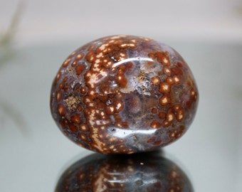 Speckled Ocean Jasper Palmstone: Polished Madagascar Crystal, 3.3 oz