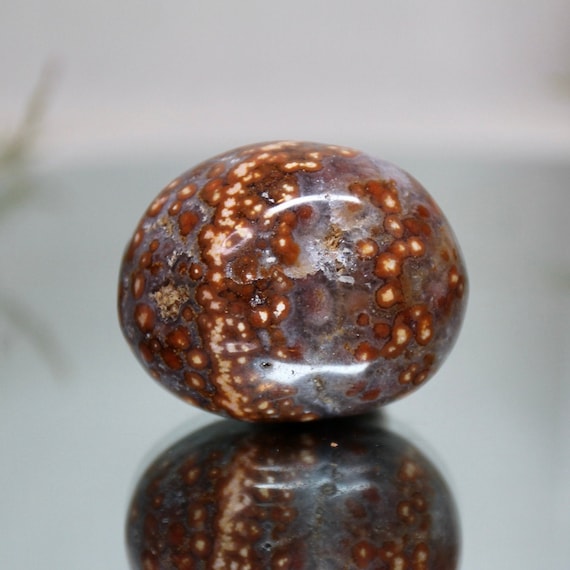 Speckled Ocean Jasper Polished Crystal Freeform, 3.3 oz AA+ Quality Jasper and Quartz Palmstone from Madagascar