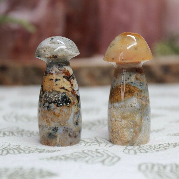 AAA+ Ocean Jasper Mushroom Pair with Druzy, 1.6 oz Carved Orbicular Jasper Crystal Mushrooms from Indonesia