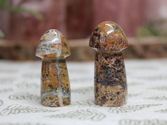 AAA++ Ocean Jasper Mushroom Pair with Druzy, 1.3 oz Carved Orbicular Jasper Crystal Mushrooms from Indonesia