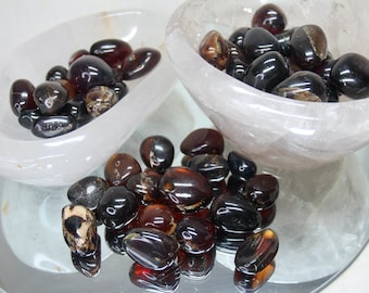 Polished Amber Tumbles: UV Reactive Indonesian Stones