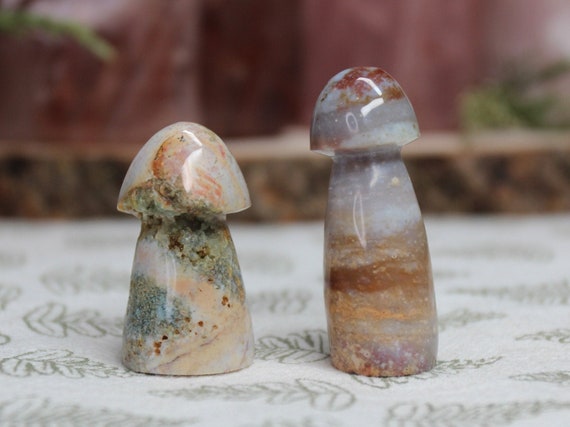 AAA++ Ocean Jasper Mushroom Pair with Druzy, 1.3 oz Carved Orbicular Jasper Crystal Mushrooms from Indonesia