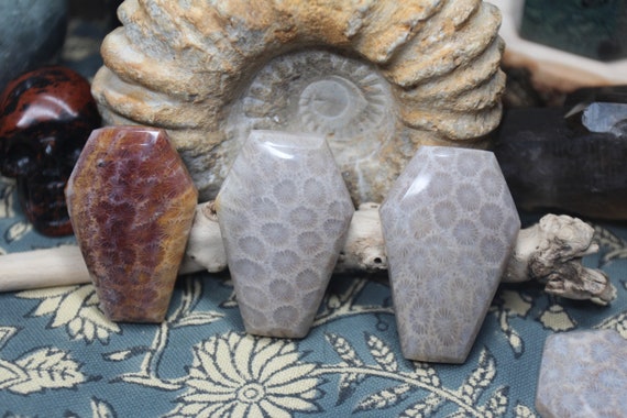 Grey & Tan Coral Fossil Agate Carved Coffin, 28-35g Polished Agatized Coral Crystal Carving from Indonesia