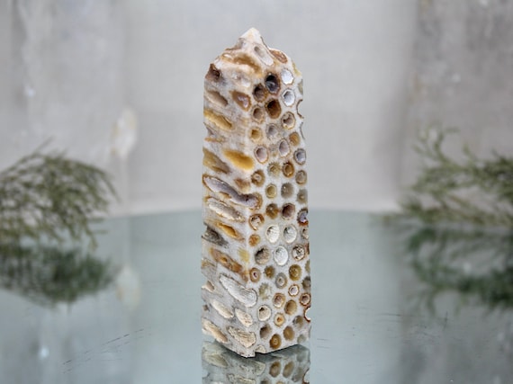 Fossilized Coral Obelisk with Druzy, AAA+ Quality 3.7 oz Semi Polished Agatized Coral Carved Tower from Indonesia