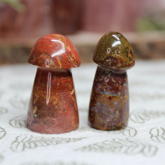 A+ Ocean Jasper Mushroom Pair, 1.5 oz Carved Orbicular Jasper Crystal Mushrooms from Indonesia