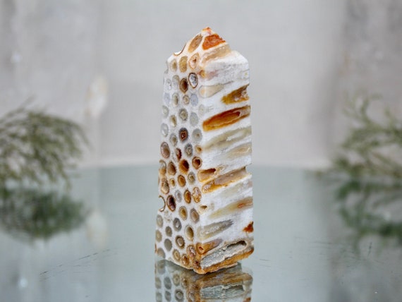 Fossilized Coral Obelisk with Druzy, AA+ Quality 3.5 oz Semi Polished Agatized Coral Carved Tower from Indonesia