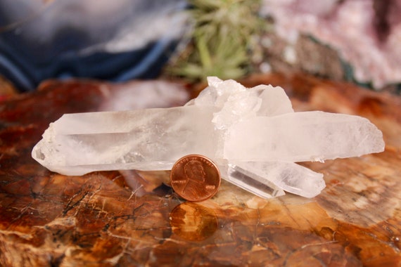 Lemurian Seed Quartz Crystal Cluster with Barnacle Crystal formations and Inclusions, 4.2 oz