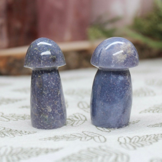 グレーの装飾石、青いライン付き グレーの装飾石、青いライン付き