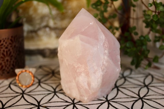 Rose Quartz Crystal Generator with Fadden Lines, 12.8 oz from Brazil