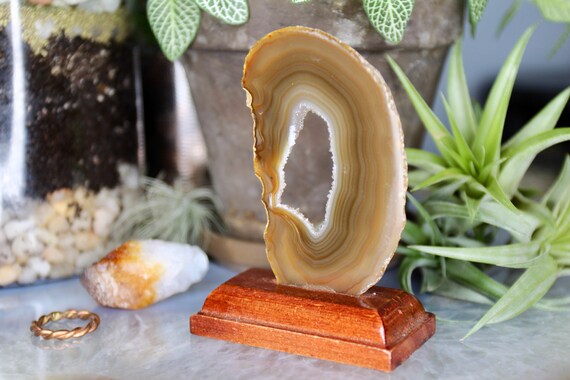 SM Tan and Grey Agate Geode Slice with Clear Quartz Crystal on Wood Stand, 1.4