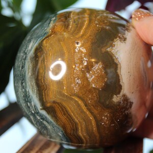 May include: A polished sphere of banded agate with brown, white, and green layers. The sphere is smooth and reflective, with a light reflecting off the surface.