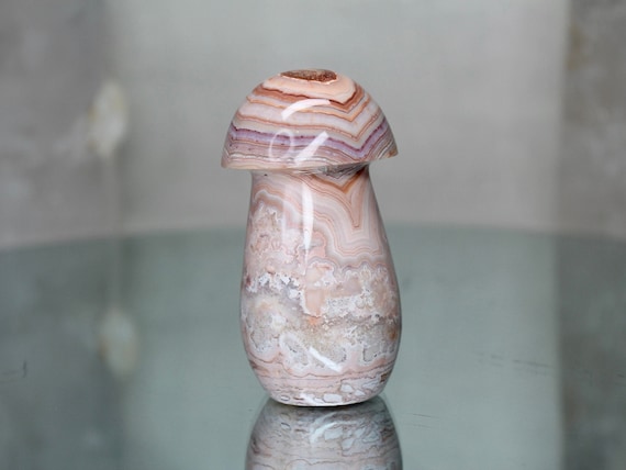 Crazy Lace Agate Mushroom with Druzy, Rare 6 oz AAA++ Quality Natural Pink Agate Carved Crystal Mushroom from Indonesia
