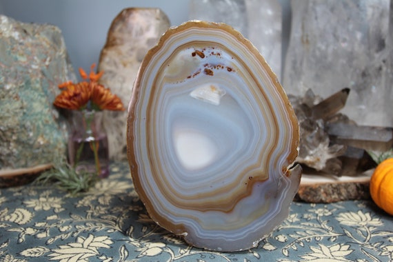 AA+ Grey and Tan Banded Agate Geode Slice with Spots , 7.1 oz from Brazil