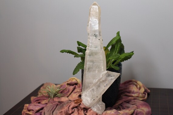 AA 12.2" White Tibetan Black Spot Quartz 2.36 lb Raw Crystal Point, Rare Crystal, High Frequency Great for Spiritual Healing