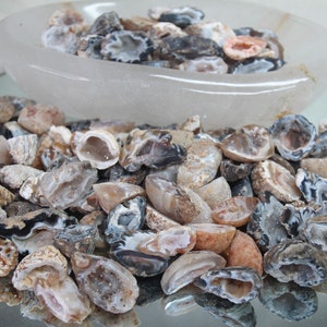 May include: A collection of agate crystal geodes in various shades of brown, gray, and white. The geodes are cut in half, revealing the crystal formations inside.