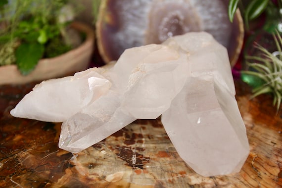 AA Natural Tibetan Quartz Crystal, Multi Point Cluster with Rainbows and Etchings, 30.5 oz