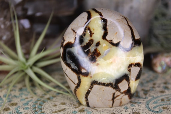 Septarian Crystal Polished Freeform, 14.1 oz from Madagascar