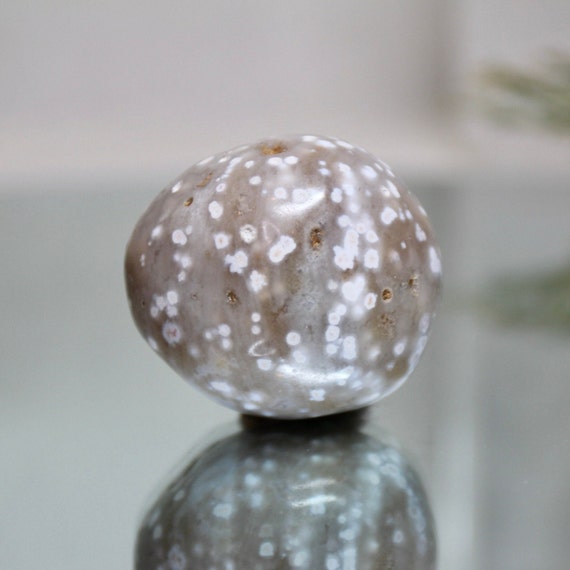 Speckled Ocean Jasper Polished Crystal Freeform, 3.1 oz A+ Quality Jasper Palmstone from Madagascar