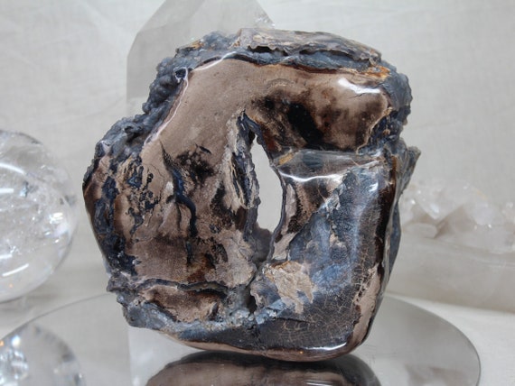 6.27 lb Rare Petrified Wood Slice, Polished Opalized Wood from Indonesia, AAA++ Quality, 100.3 oz, Energy Healing, Reiki Charged, Free Ship