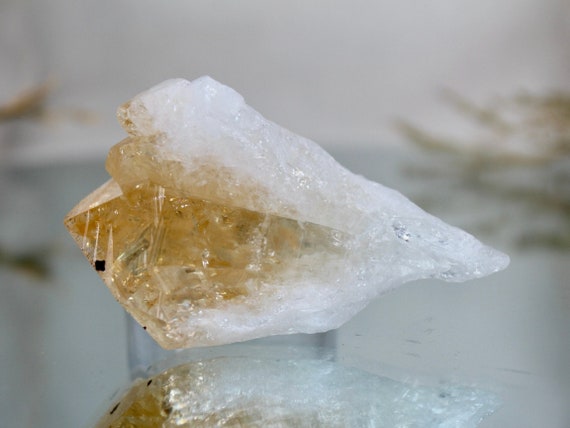 Raw Citrine Point with Rainbow Foils and Druzy Spots, AA+ Quality, Ultra Clear 2.6 oz Mother Daughter Crystal Bouquet from Brazil