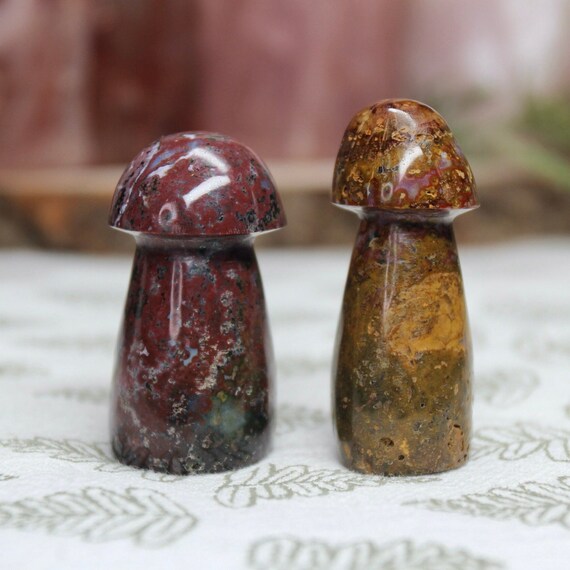 AAA+ Ocean Jasper Mushroom Pair, 2.0 oz Carved Orbicular Jasper Crystal Mushrooms from Indonesia