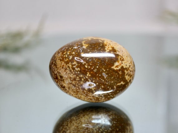 Speckled Ocean Jasper Polished Crystal Freeform, 3.6 oz AA+ Quality Jasper Palmstone from Madagascar