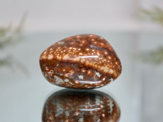 Speckled Ocean Jasper Polished Crystal Freeform, 3.5 oz AA+ Quality Jasper Palmstone from Madagascar